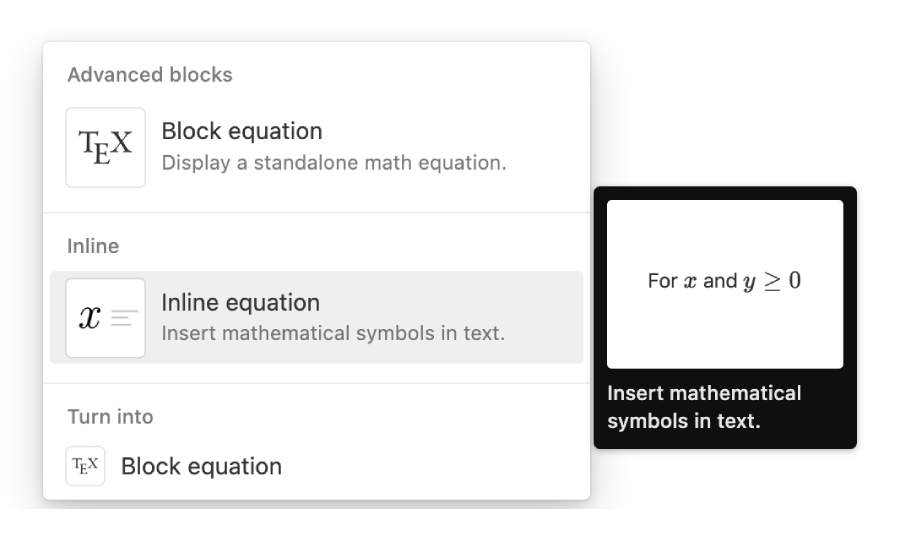 notion math